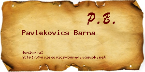 Pavlekovics Barna névjegykártya